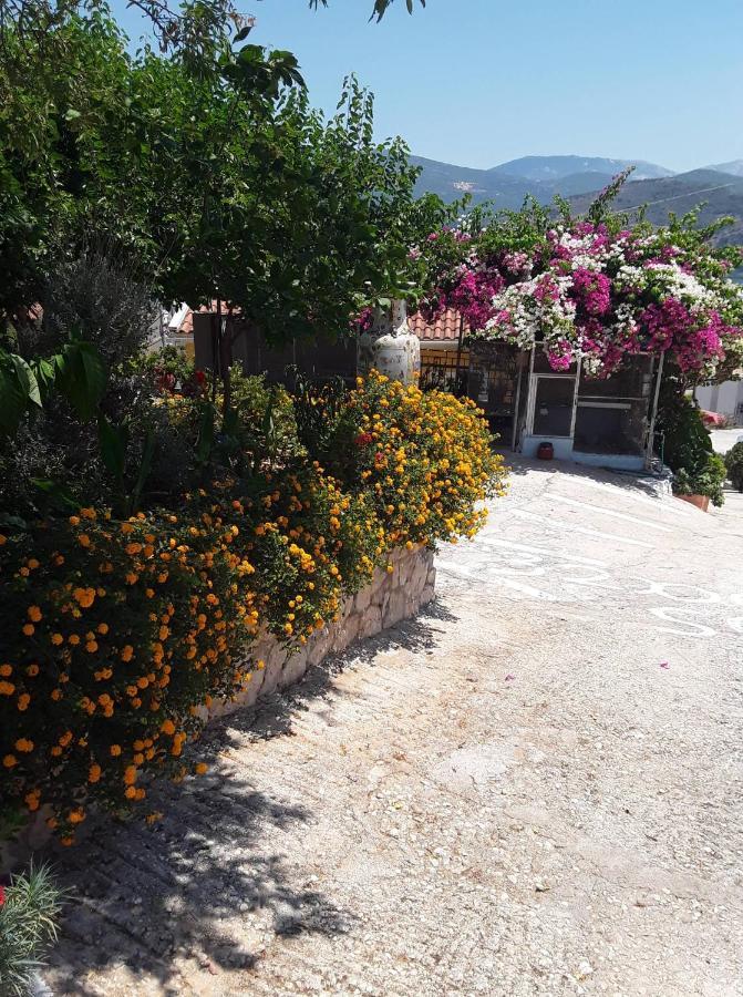 Elenh House Appartement Argostoli  Buitenkant foto