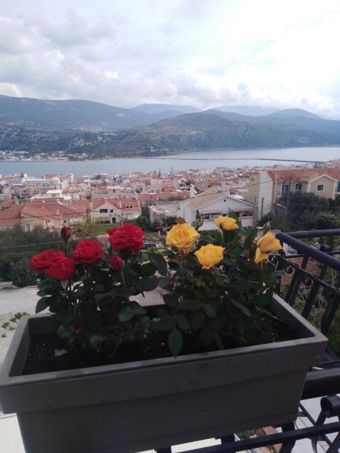 Elenh House Appartement Argostoli  Buitenkant foto