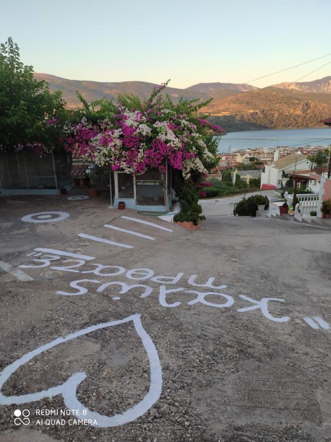 Elenh House Appartement Argostoli  Buitenkant foto