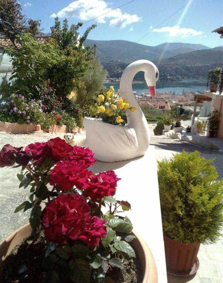 Elenh House Appartement Argostoli  Buitenkant foto