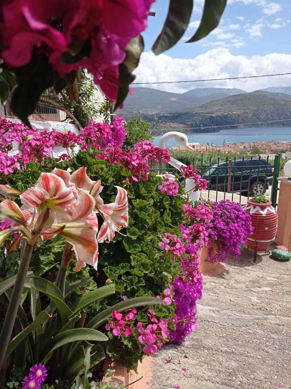 Elenh House Appartement Argostoli  Buitenkant foto