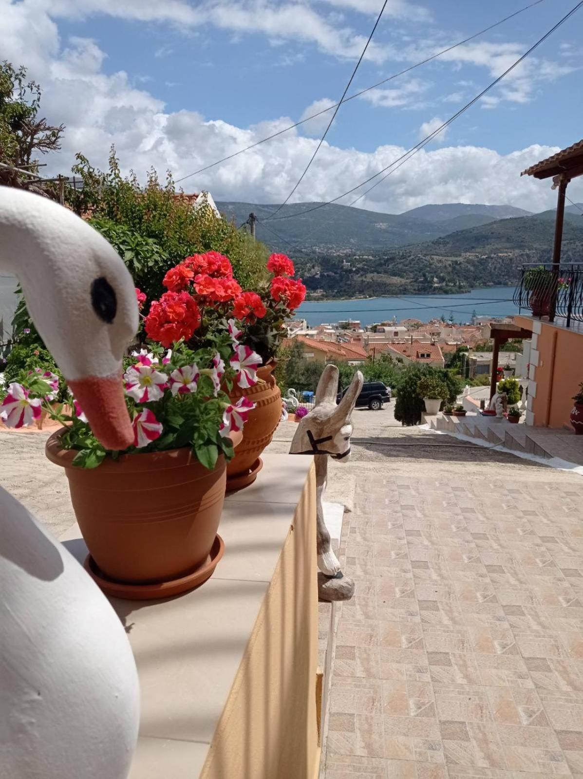 Elenh House Appartement Argostoli  Buitenkant foto