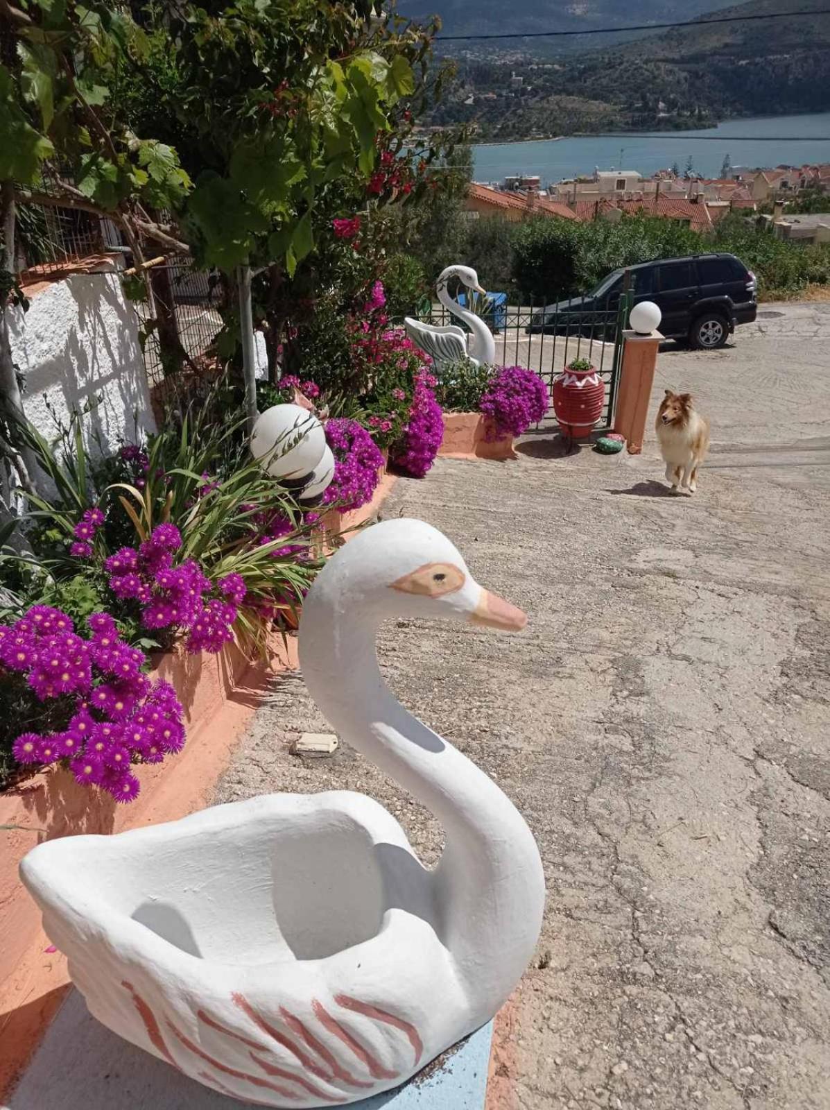 Elenh House Appartement Argostoli  Buitenkant foto