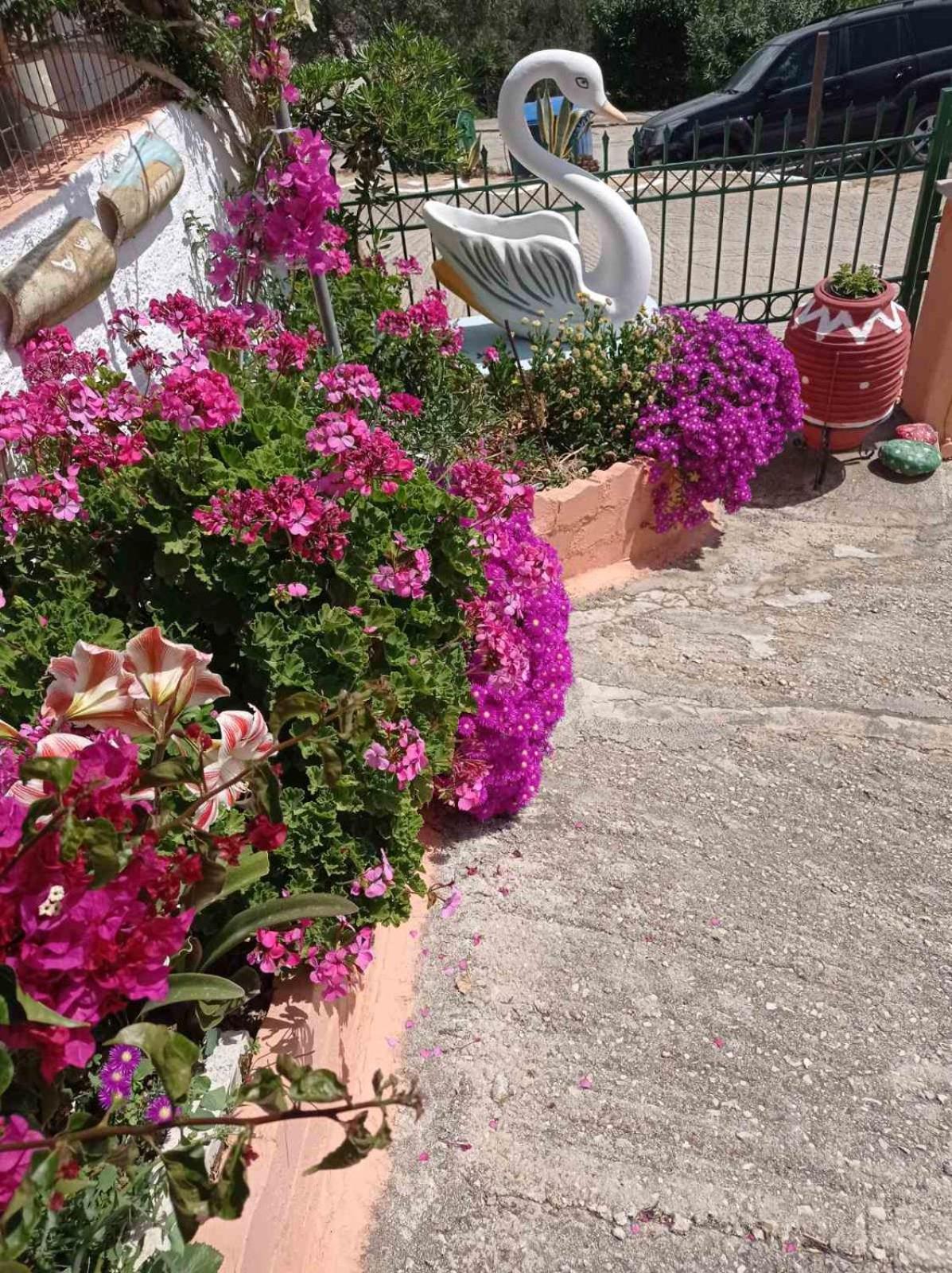 Elenh House Appartement Argostoli  Buitenkant foto